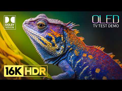 INSANE BEAUTY IN 16K HDR Dolby Vision 120FPS (8K / 4K Video TV TEST)