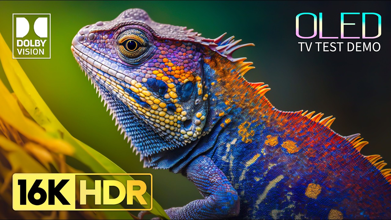 Stunning 16K HDR Dolby Vision 120FPS Ultra HD Nature Film 🌿