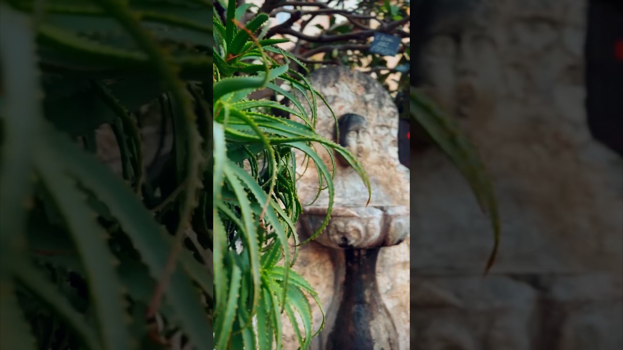 Eze: Medieval Village in South France 🏡