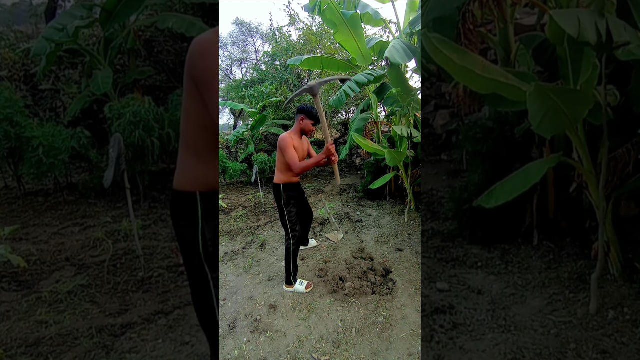 सफलता के लिए कड़ी मेहनत जरूरी 💪 | प्रेरक कहानी