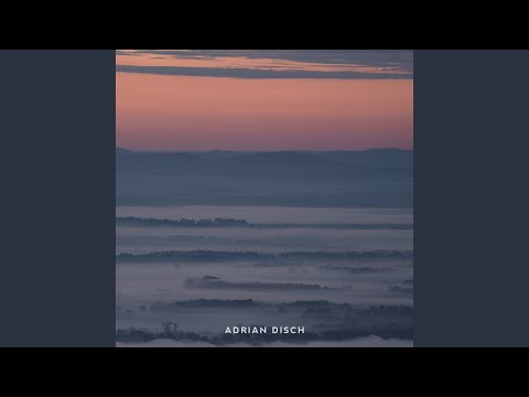 Adrian Disch - Topic