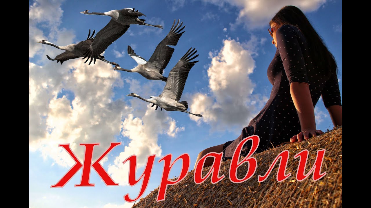 Максим Фадеев — Журавли (Клип)