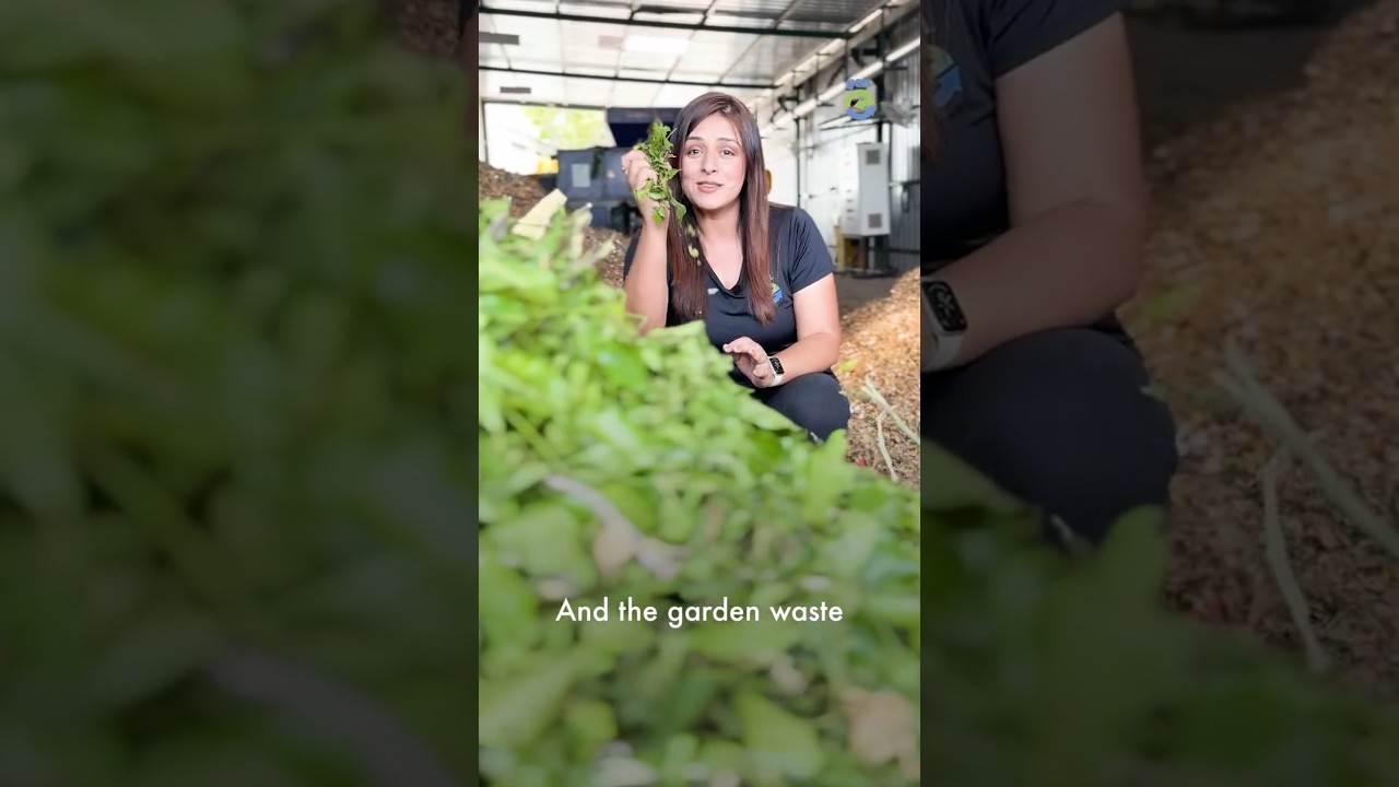 Electronics City: Bengaluru’s Clean & Modern Hub 🌆