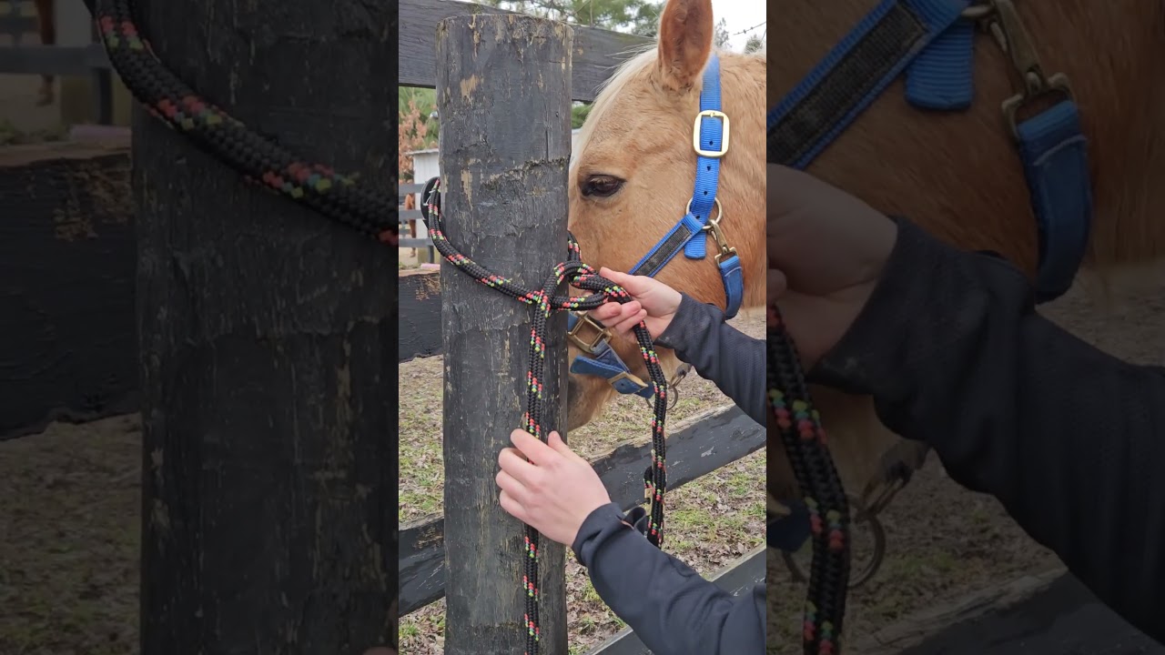 How to Tie a Slip Knot 🐴