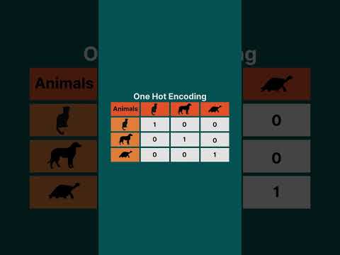 What is one-hot encoding?