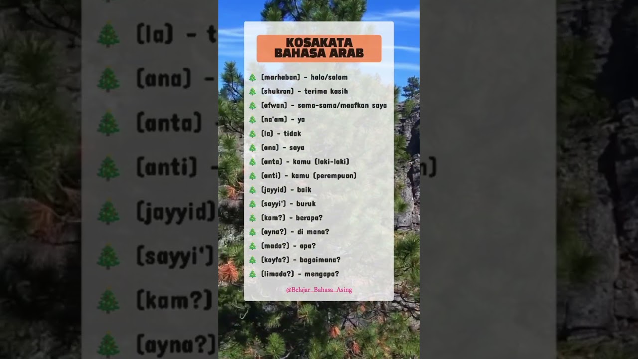 Kuasai Kosakata Bahasa Arab dengan Mudah! πΈπ¦