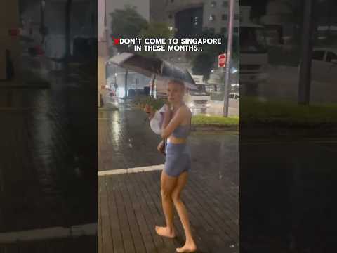 ❌Don’t come to Singapore in these months..