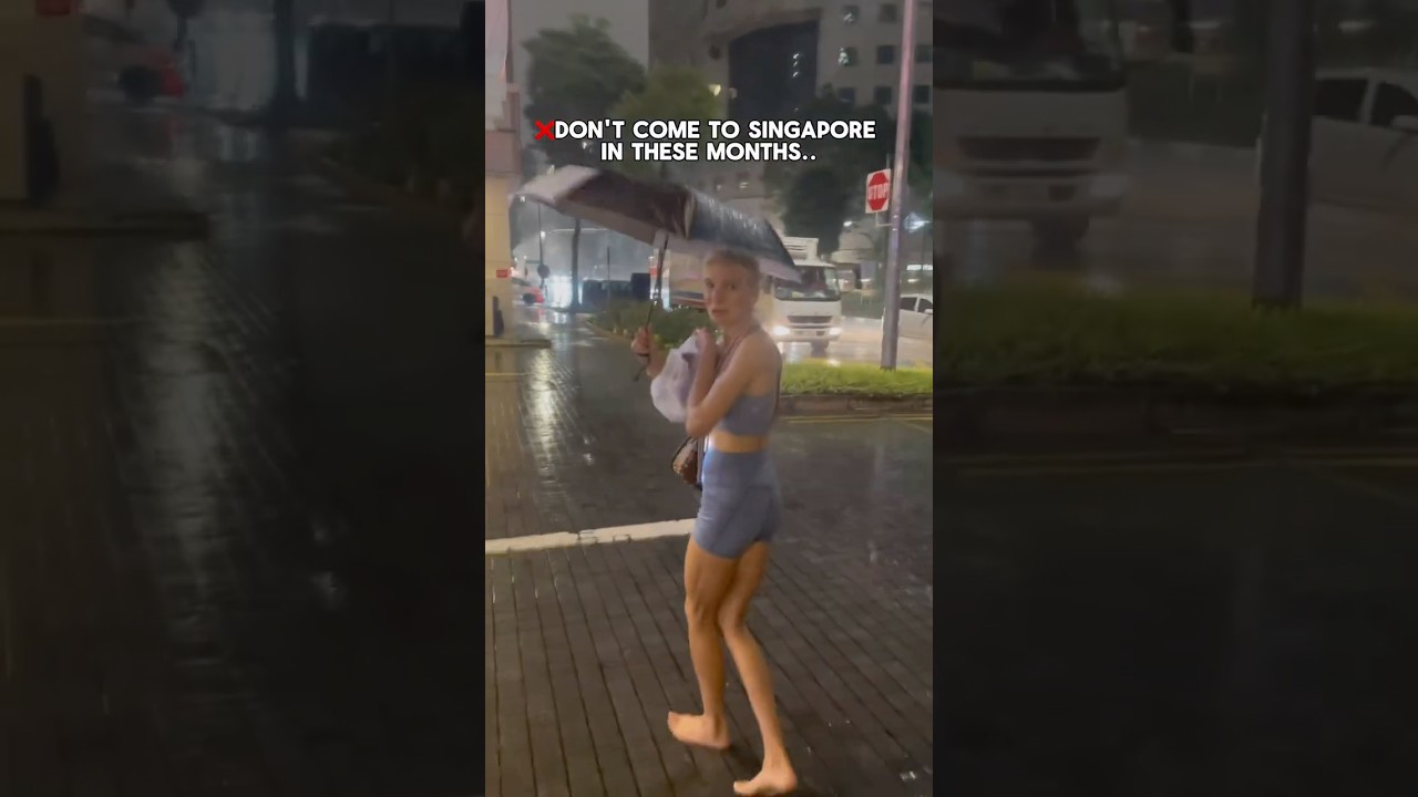 Avoid Visiting Singapore During These Months 🌧️