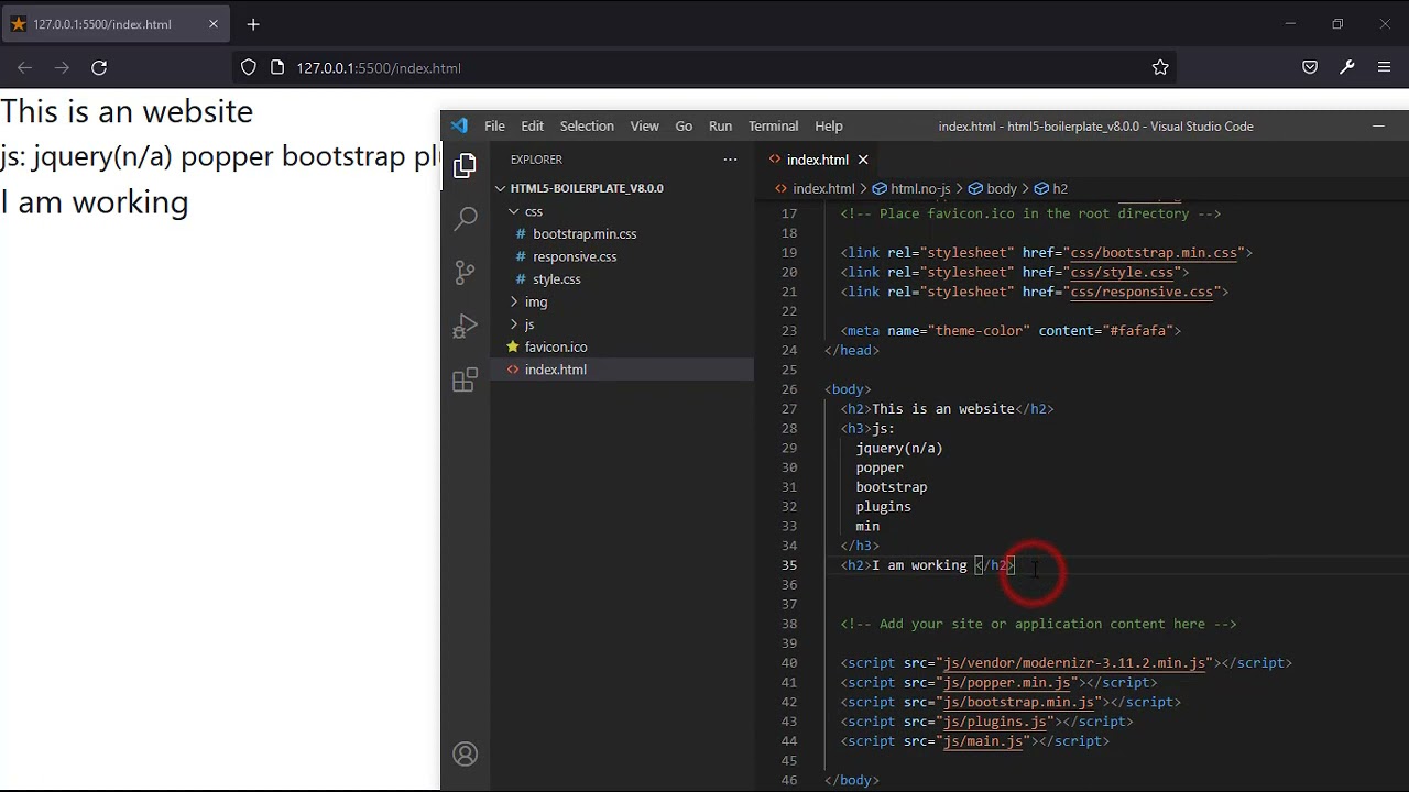 VS Code Live Preview with Live Server π