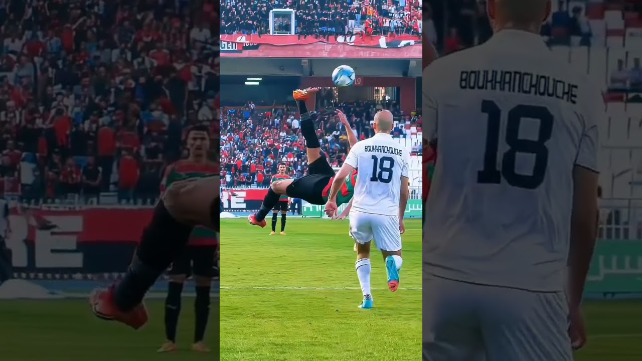 نجوم المنتخب الجزائري 🇩🇿