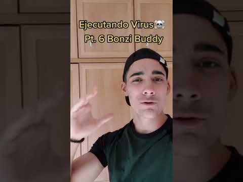Ejecutando Virus Pt. 6: Bonzi Buddy 🐒