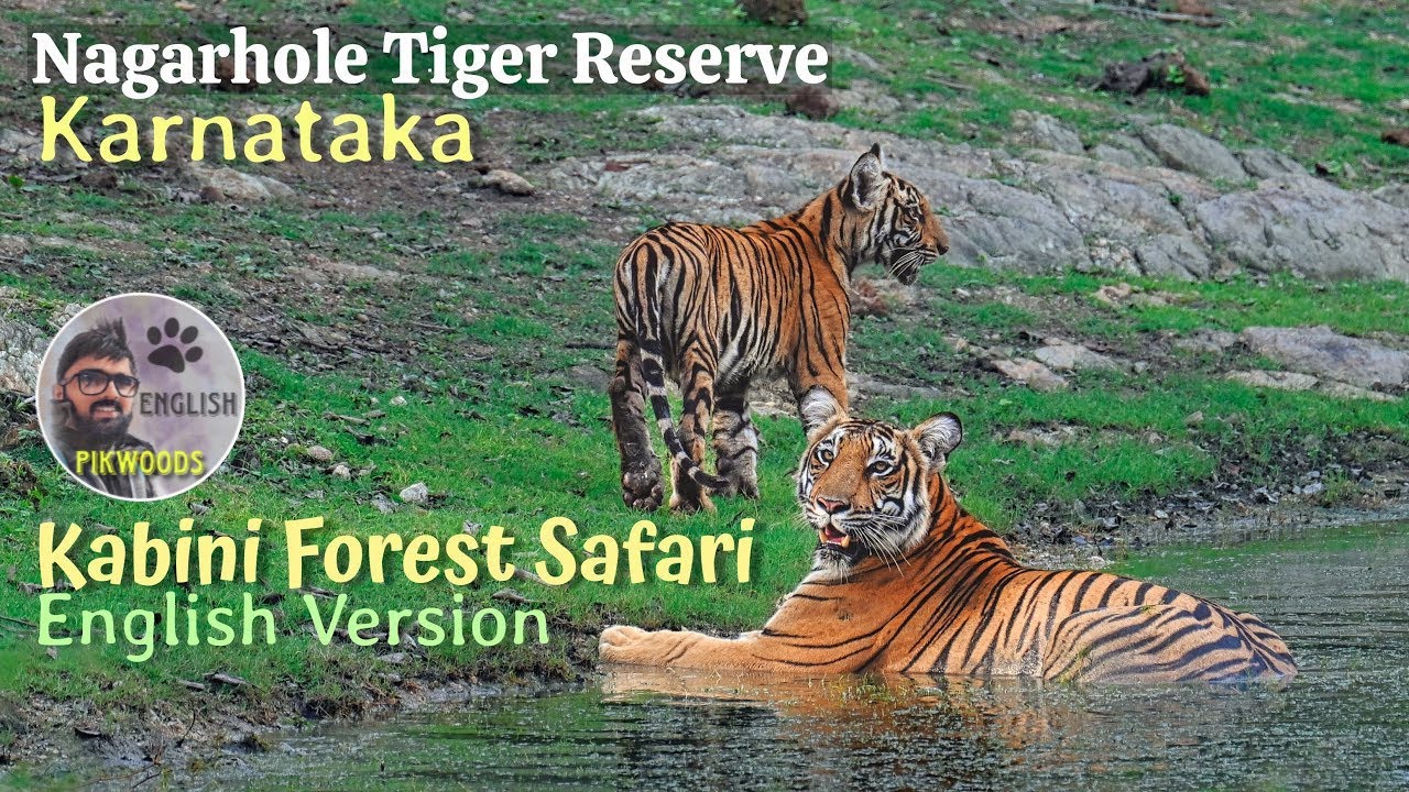 Kabini Forest Safari & Nagarhole Tiger Reserve π