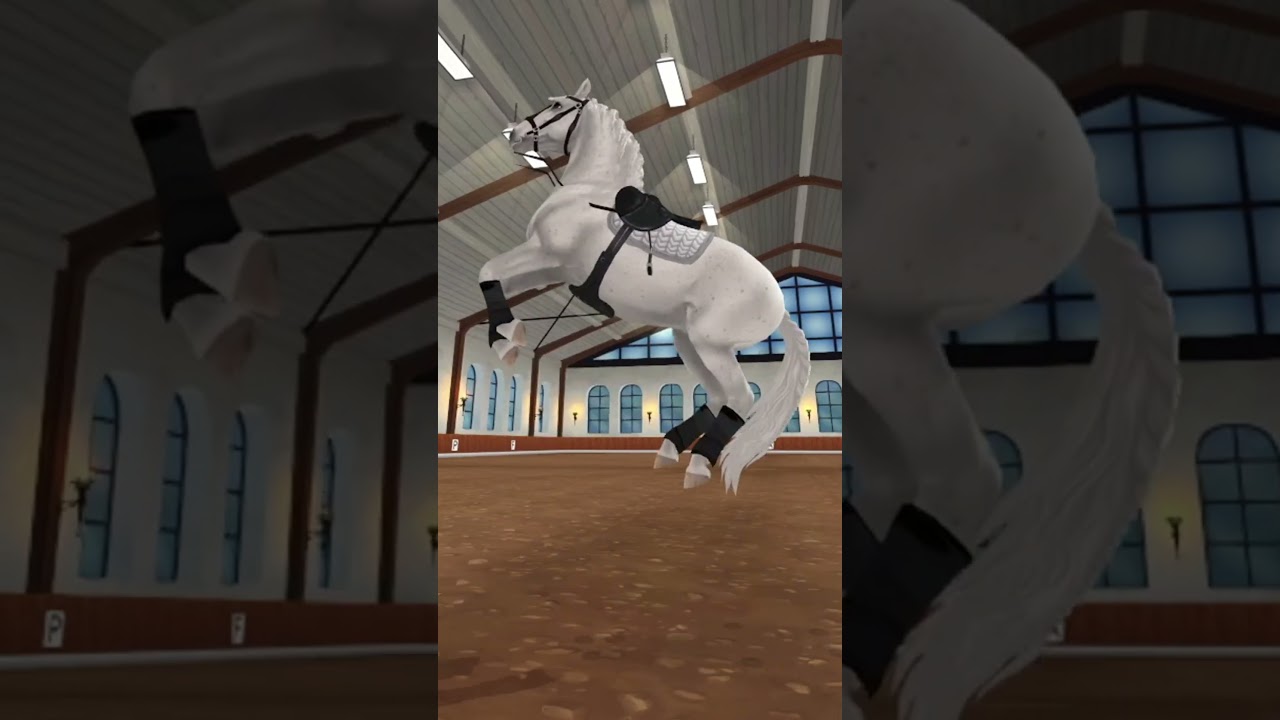 Star Stable vs Real Life: Surprising Differences 😲