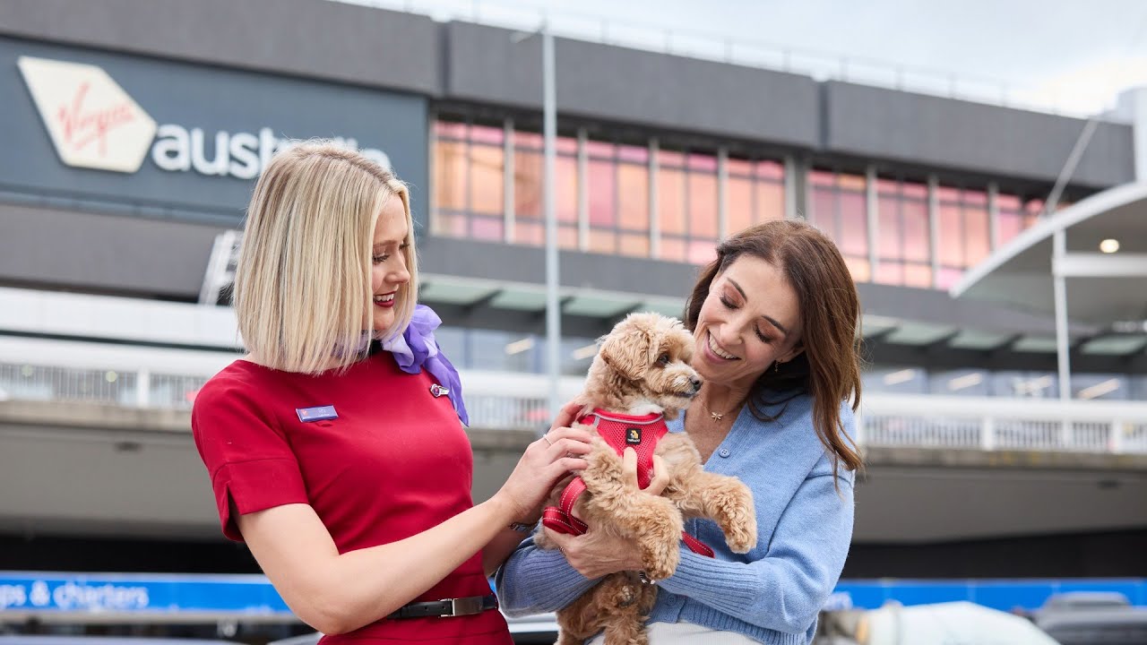 Virgin Australia: Pets in Cabin Guide 🐾