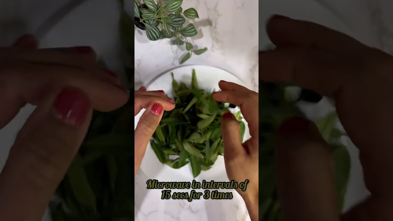 How do I store curry leaves for up to a year #shorts