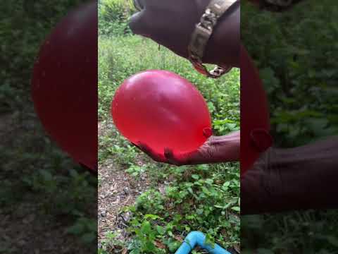 Amazing balloon trick ASMR #short #ep88