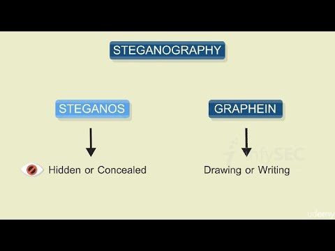 Master Steganography & Ethical Hacking: Complete Python Tutorial for Cybersecurity 🕵️‍♂️