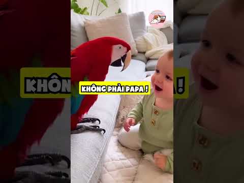 Tập nói cỡ này luôn cơ mà 😂 #gaudan