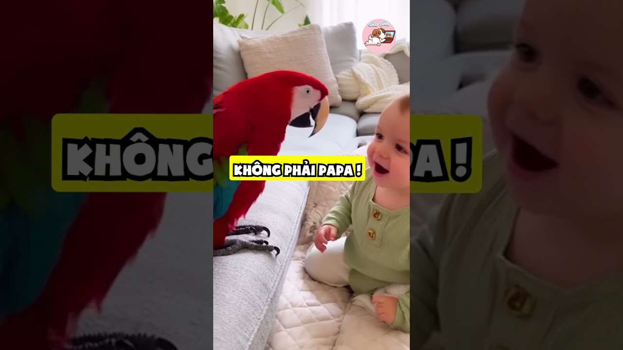 Tập Nói Cỡ Này Thôi! 😂 | Nội Dung Giải Trí Vui Nhộn