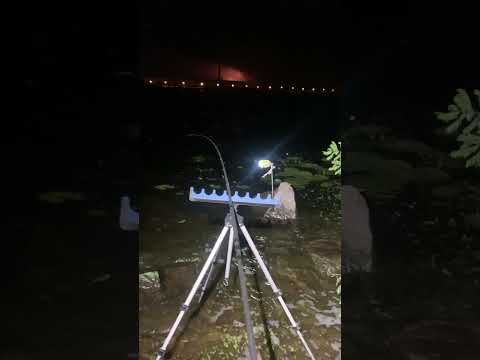 Ночная рыбалка на Днепре #рыбалка #рекомендации #фидер #лещ