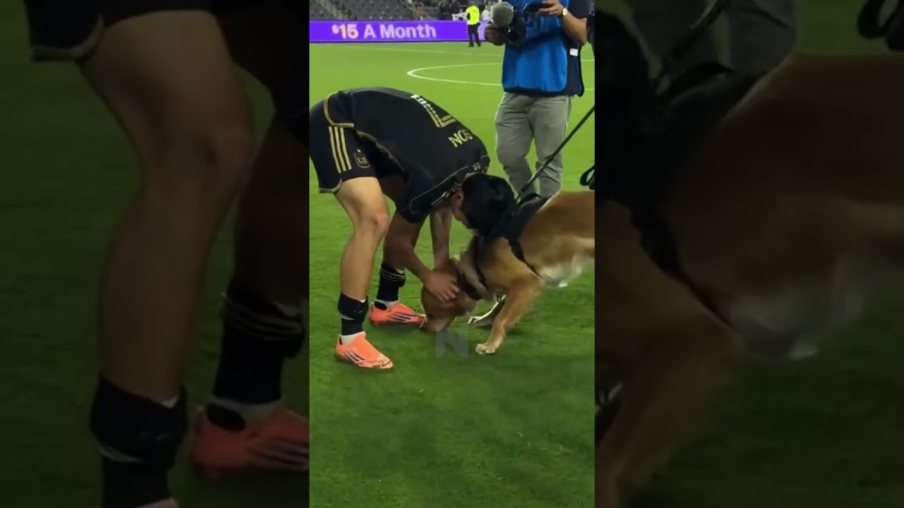 Son Heung Min's One True Love???