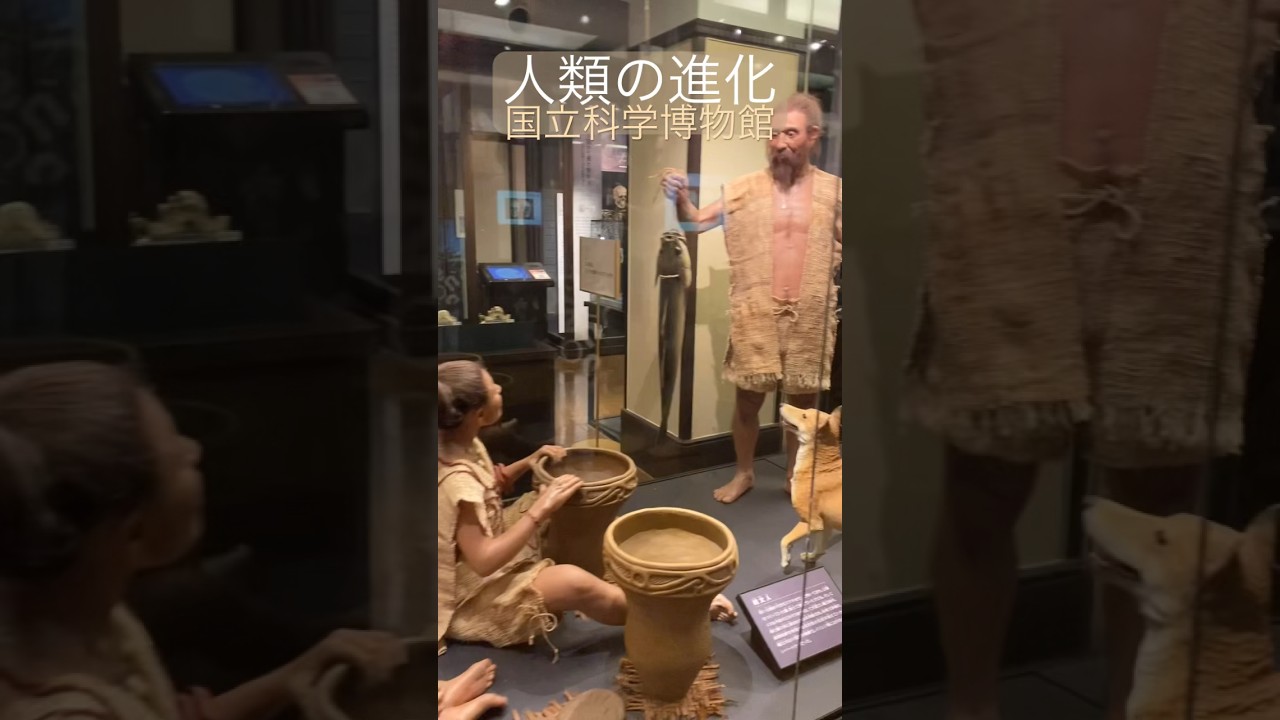 国立科学博物館で人類の進化を体感🧬｜東京の歴史と未来を学ぼう