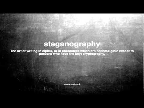 What does steganography mean