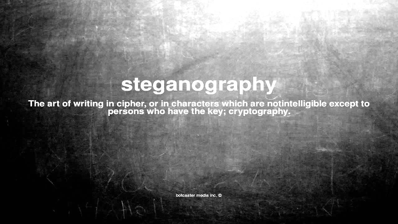 What Is Steganography? π΅οΈββοΈ Discover Its Meaning and Uses