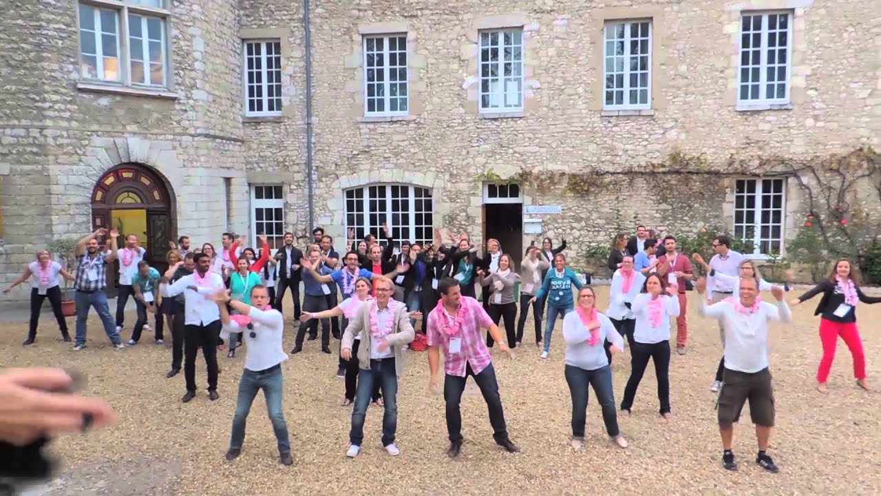 JCE Montargis Symposium Flash Mob (Oct 4, 2014)