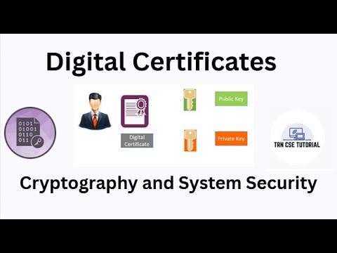 Digital Certificate in Cryptography | Cryptography and System Security #cryptography