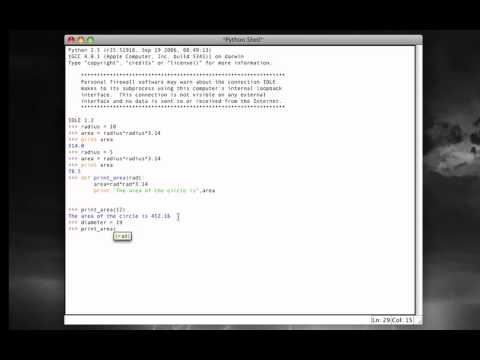 python shell vs program