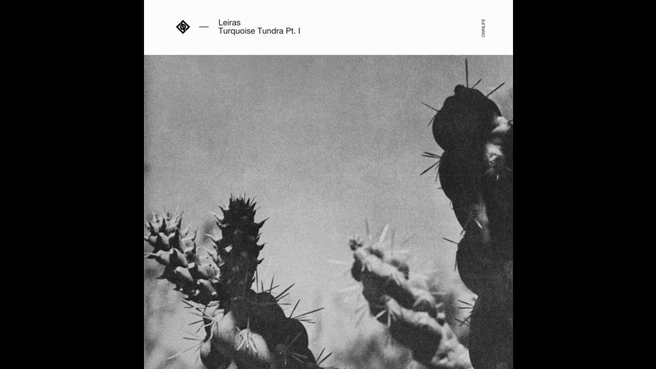 Leiras - Body Language (Ownlife OWN014) 🎶