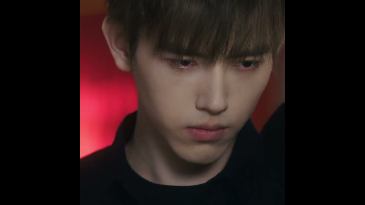 Lighter & Princess: Heartwarming Shorts to Brighten Your Day ✨