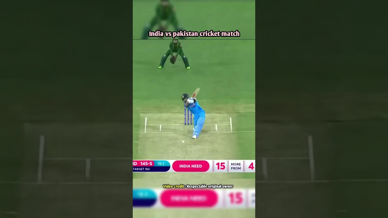 Jurassic World: Dinosaurs and Adventure 🦖