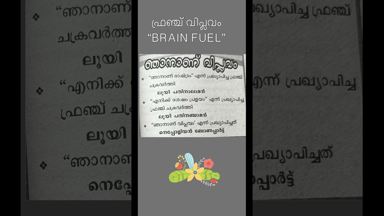 French Revolution's Brain Fuel ⚡