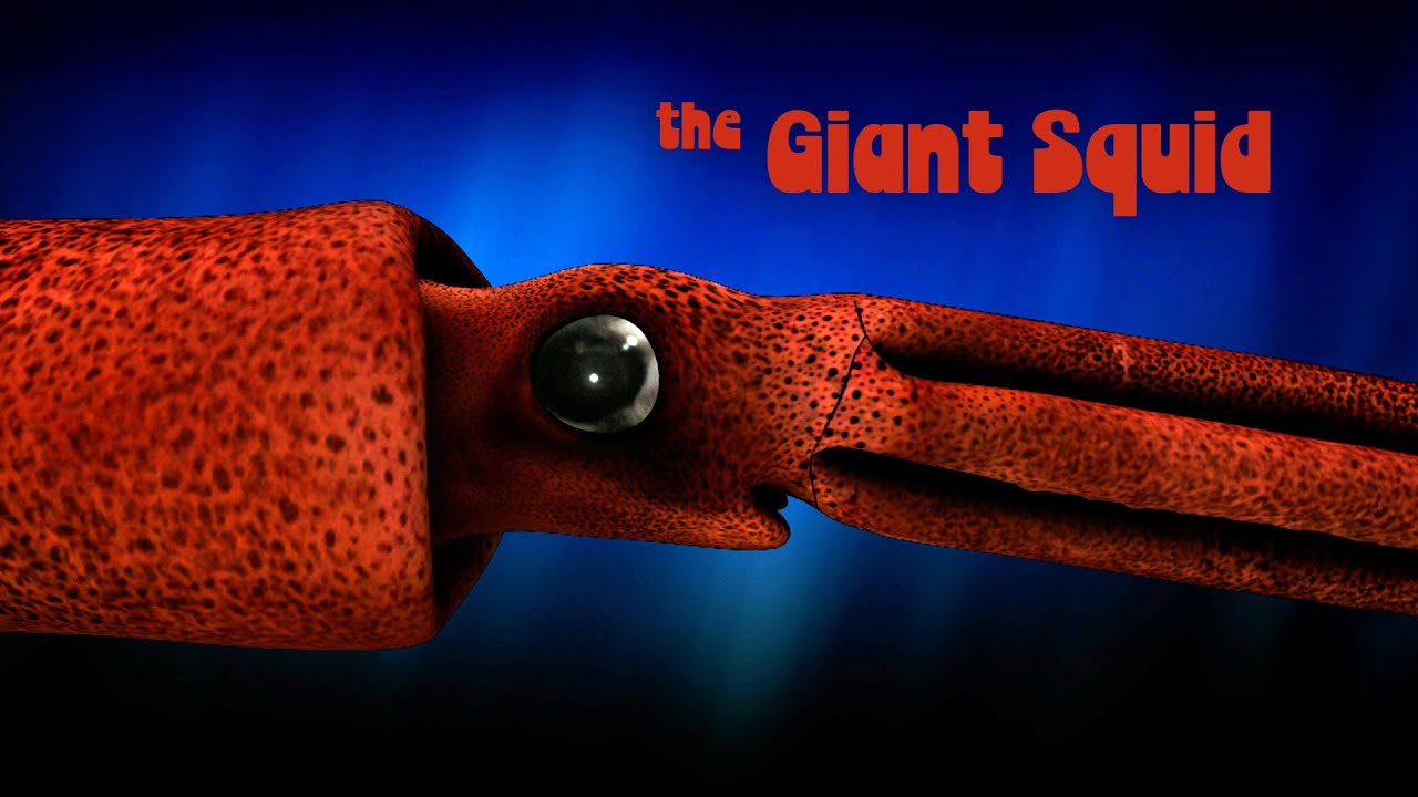 Inside Nature’s Giants: The Giant Squid 🦑
