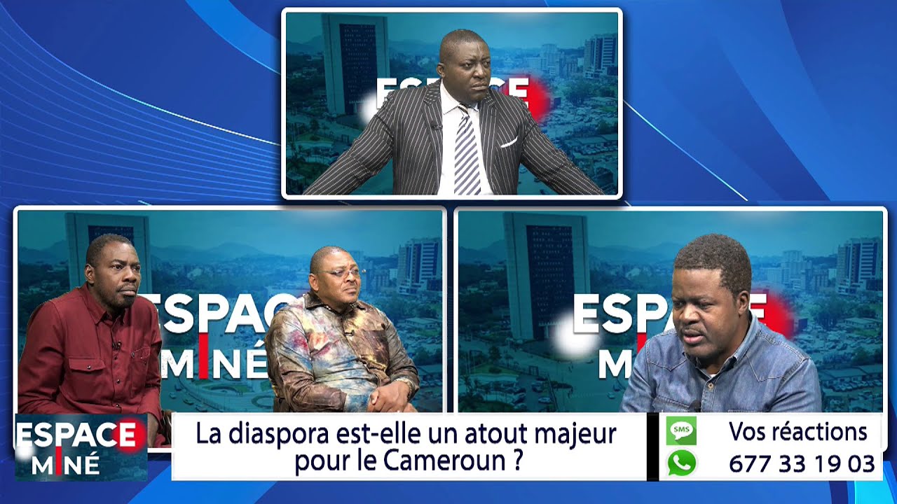 La diaspora, un atout pour le Cameroun 🇨🇲
