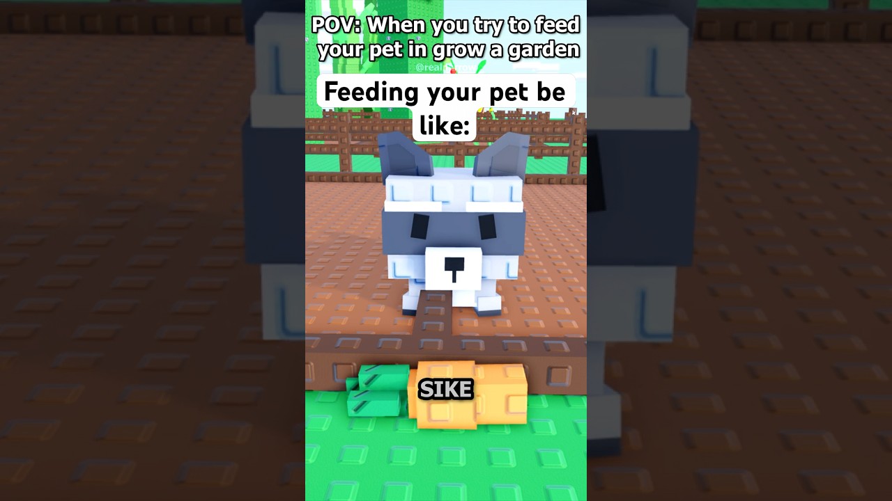 Feeding Pets in Grow A Garden 🐾