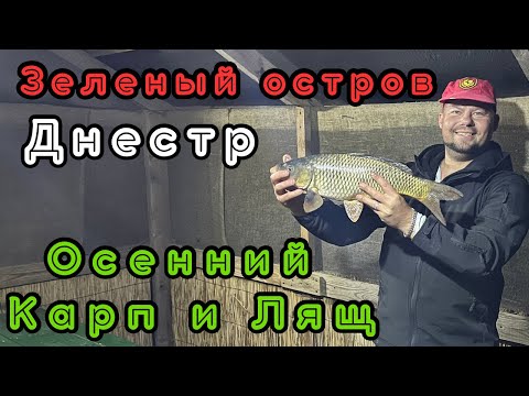 Зеленый остров, Днестр. Осенний КАРП и ЛЯЩ. 27.10.24#fishing #рыбалка #днестр