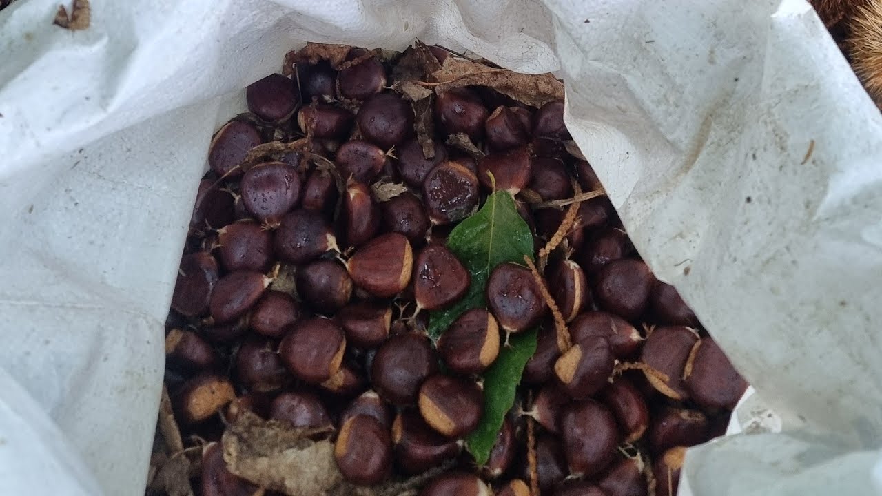 Termino y me marcho 🚪