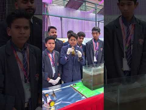 I Made BioFuel From Algae, A Renewable Energy Resources.