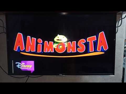 Animonsta logo