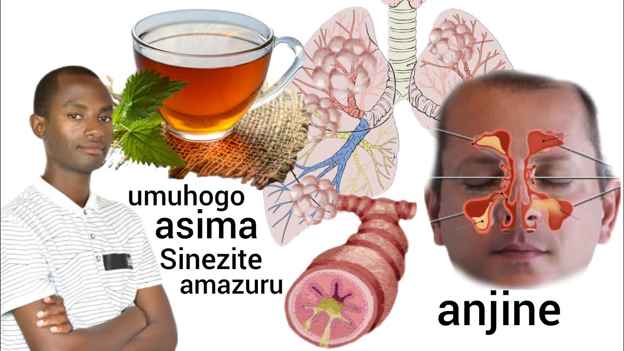 Imiti y'ubuhumekero ikize indwara nyinshi 🩺