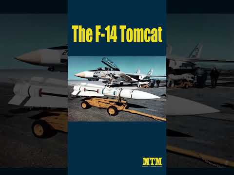 The F-14 Tomcat - A short history #shorts #military #history #f14tomcat #technology