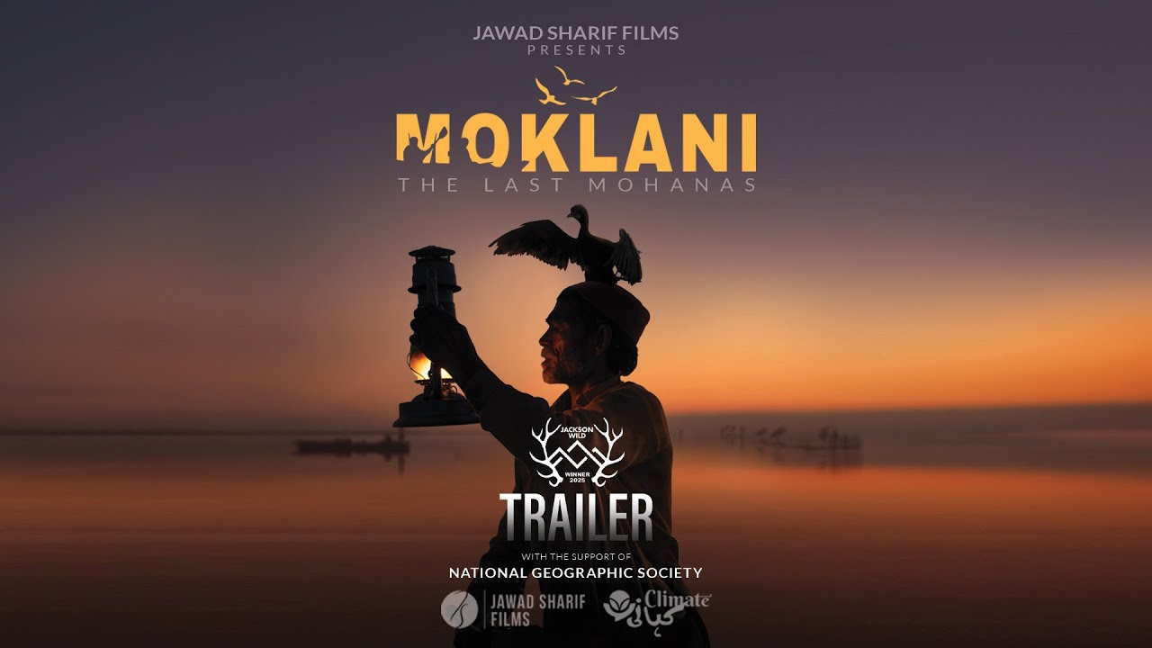 Moklani: The Last Mohanas Wins Jackson Wild Award 🌿