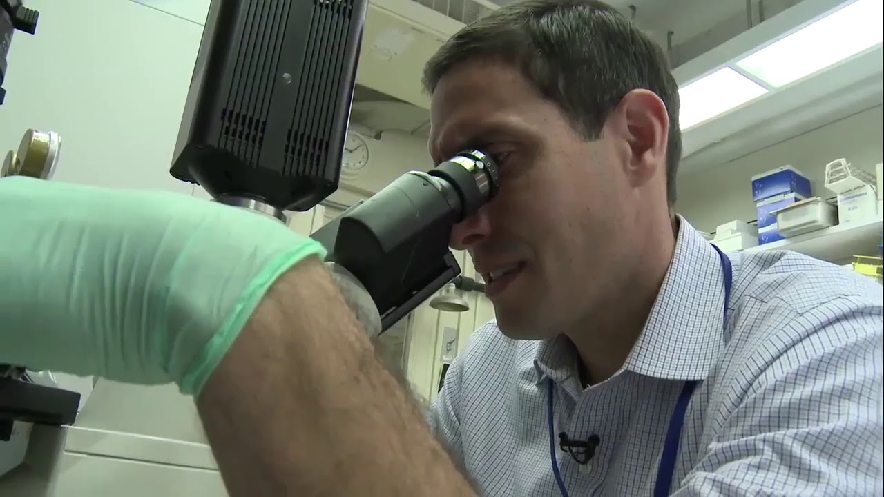 At the NIH Clinical Center: Dr. Daniel Chertow studies influenza