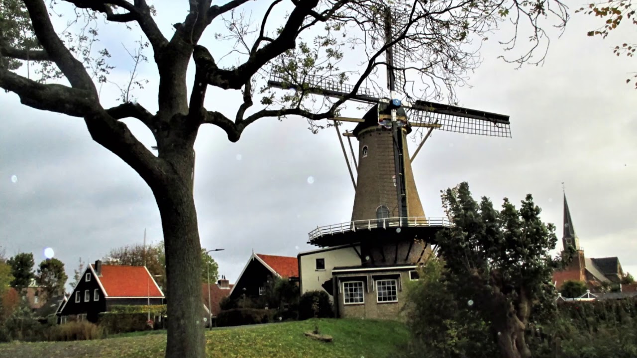 Nissewaard Walk on 24-10-2020 🚶‍♂️