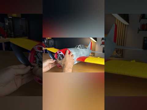 Un avion radiocommandé entièrement IMPRIMÉ en 3D!! #aéromodélisme #3dprinting #bastlero #3d