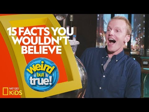 15 Mind-Blowing Facts You Won't Believe! 🤯