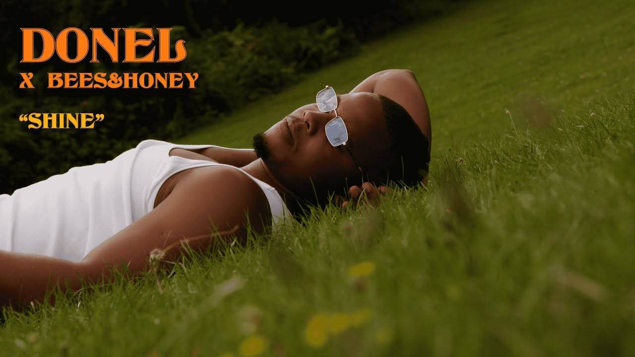 Donel x Bees & Honey - Shine (Visualizer) ✨